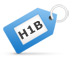 H1B Visa Lawyer